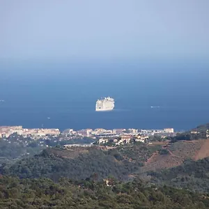 Des Oliviers , Le Tignet France